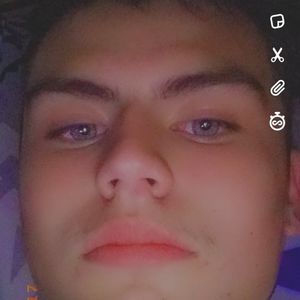 Meet your Posher, Toby